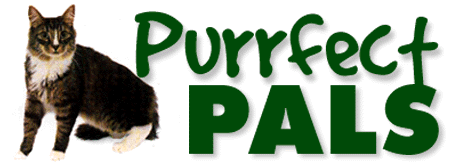 Purrfect Pals 