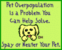 Solve Pet Overpopulation