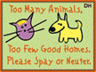 Too many animals, too few homes